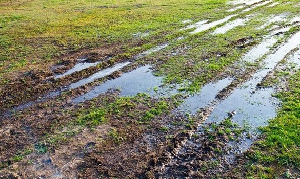 Tyre tracks in a wet field